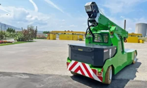 Grues JMG